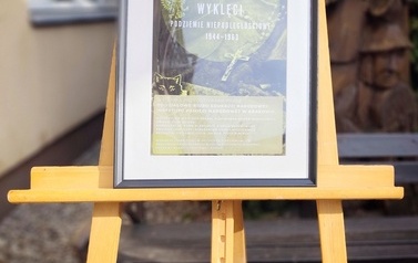 Narodowe Święto Żołnierzy Wyklętych - 1 marca 2026 r. 25