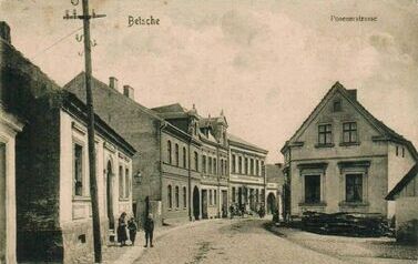 Pszczew 15