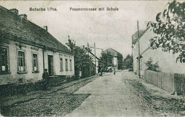 Pszczew 9